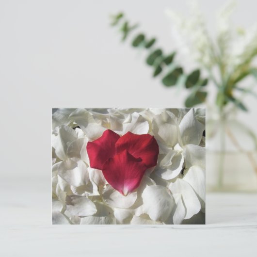 Witte en rode rozenblaadjes Briefkaart (Staand voorkant)