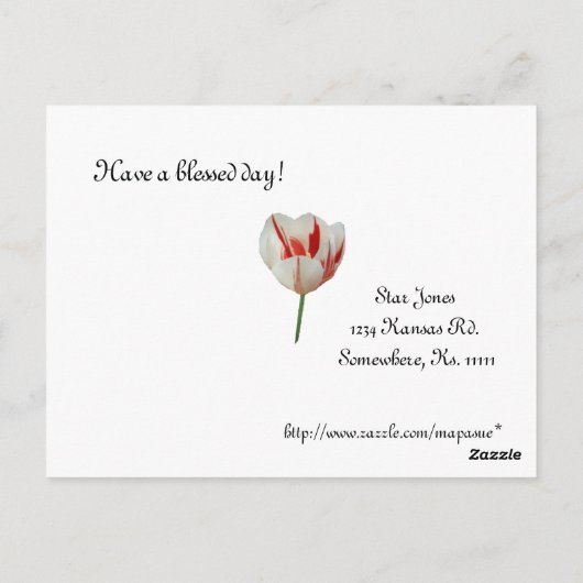 Witte en rode tulpen briefkaart (Achterkant)