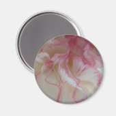 Witte en Roze Anjer Magneet (Voorkant / Achterkant)