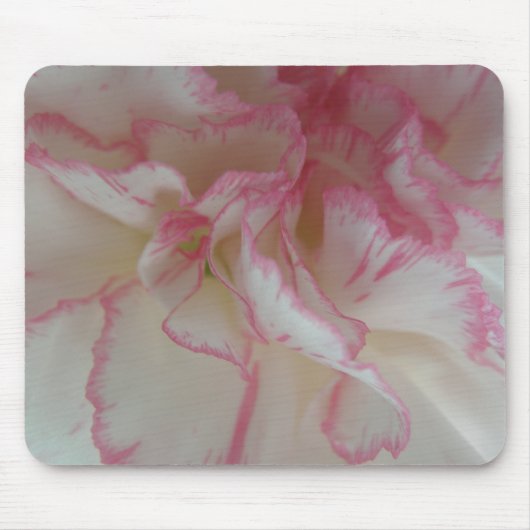 Witte en roze anjer Mousepad Muismat (Voorkant)