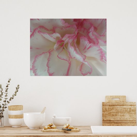 Witte en Roze Anjer Print (Keuken)