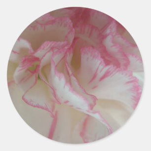 Witte en roze anjers ronde sticker
