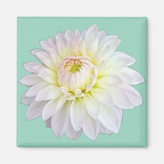 Witte en roze bloem magneet (Voorkant)