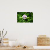 Witte en Roze Bloem Poster (Keuken)