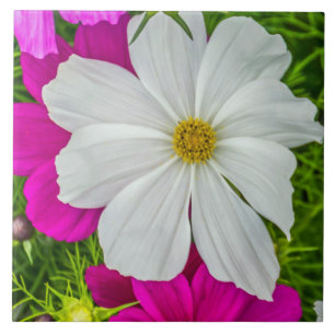 Witte en roze bloemen ceramiektegel tegeltje