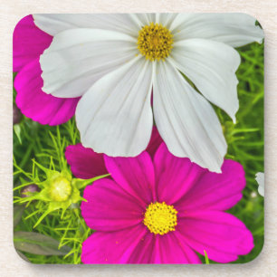 Witte en roze bloemen harde plastic onderzetters