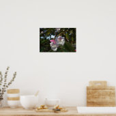 Witte en roze bloemen Poster (Keuken)