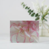 Witte en roze Briefkaart (Staand voorkant)