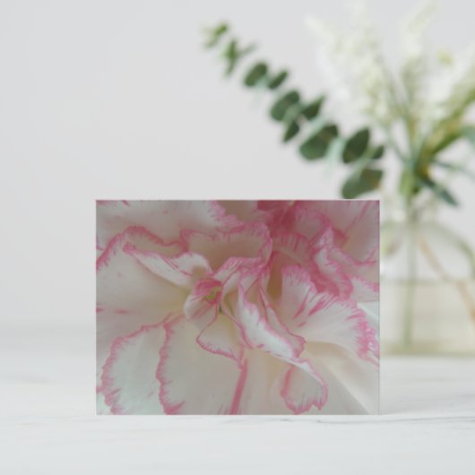 Witte en roze Briefkaart (Staand voorkant)