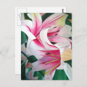 Witte en Roze daglly waterverf art flower Briefkaart (Voorkant / Achterkant)
