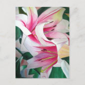 Witte en Roze daglly waterverf art flower Briefkaart (Voorkant)