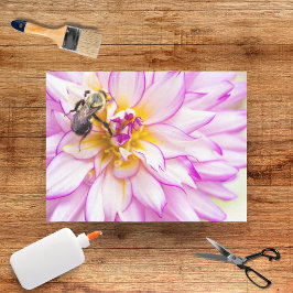 Witte en roze dahlia met hommel tissuepapier