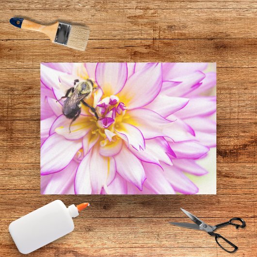 Witte en roze dahlia met hommel tissuepapier