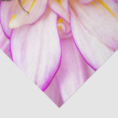 Witte en roze dahlia met hommel tissuepapier (Detail)