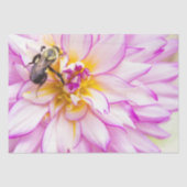 Witte en roze dahlia met hommel tissuepapier (Voorkant)