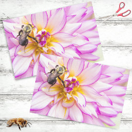 Witte en Roze Dahlia met Hommeltje Tissuepapier