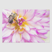 Witte en roze Dahlia met papier voor de bunkerbije (Voorkant)