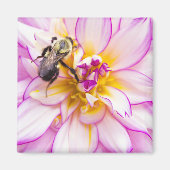 Witte en roze Dahlia met roombijen Magneet (Voorkant)