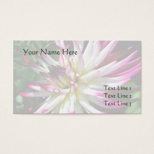 Witte en roze Dahlia Visitekaartje (Voorkant)
