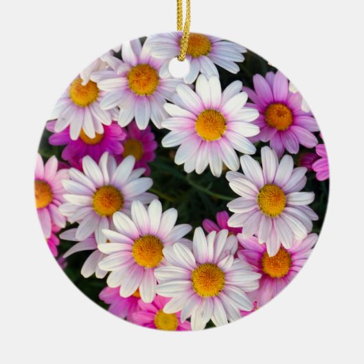 Witte en roze Daisy Flower Keramisch Ornament (Voorkant)