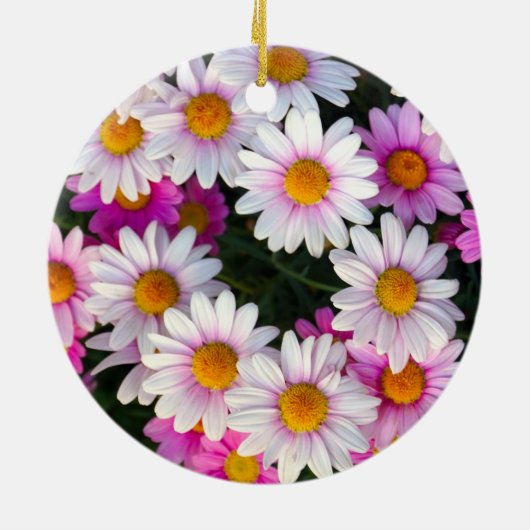 Witte en roze Daisy Flower Keramisch Ornament (Achterkant)