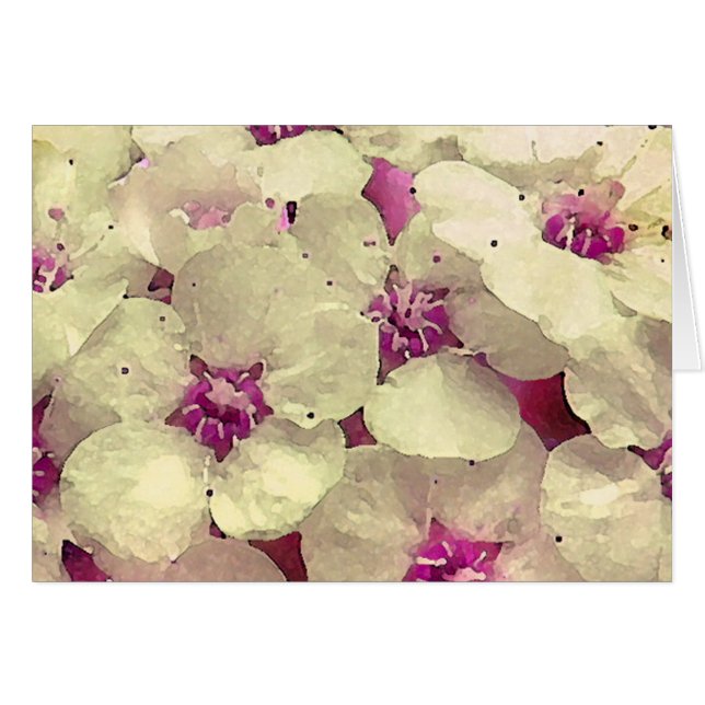 Witte en Roze Floral (Voorkant Horizontaal)