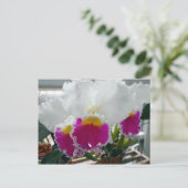 Witte en roze gelaagde iris briefkaart (Staand voorkant)