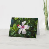 Witte en Roze Hibiscus Tropical Flower Note Kaart (Voorkant)