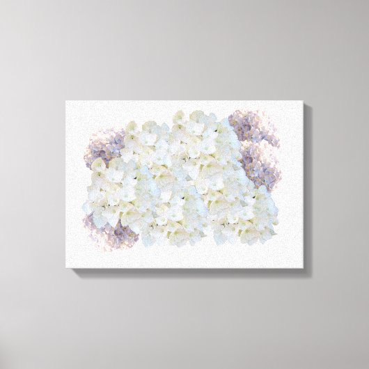 Witte en Roze Hortensia's Canvasprint Canvas Afdruk (Voorkant)