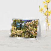 Witte en roze krabappelboom bloesems kaart (Gele Bloem)