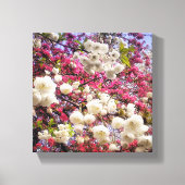 Witte en roze lentesbloesem in Wales Canvas Afdruk (Voorkant)