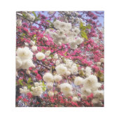 Witte en roze lentesbloesem in Wales Notitieblok (Voorkant)