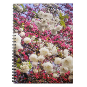 Witte en roze lentesbloesem in Wales Notitieboek