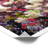 Witte en roze lentesbloesem in Wales Poster (Hoek)