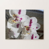 Witte en roze orchidee foto legpuzzel (Horizontaal)