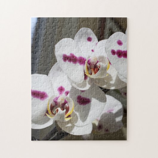 Witte en roze orchidee foto legpuzzel (Verticaal)