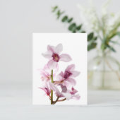 Witte en roze orchideeën briefkaart (Staand voorkant)
