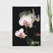Witte en Roze Orchideeën Notitiekaarten (Voorkant)
