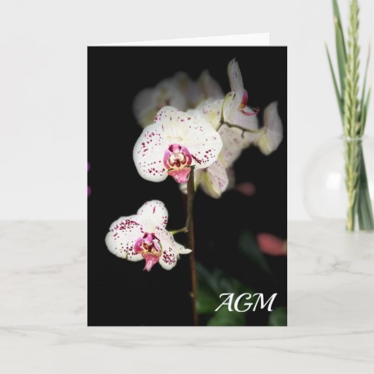 Witte en Roze Orchideeën Notitiekaarten (Voorkant)