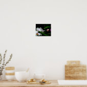 Witte en Roze Orchideeën Poster (Keuken)