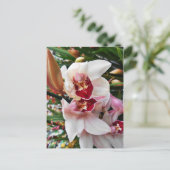 Witte en Roze Phalaenopsis Orchid Briefkaart (Staand voorkant)