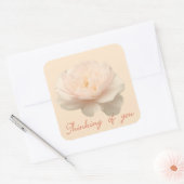 Witte en roze roos vierkante sticker (Envelop)