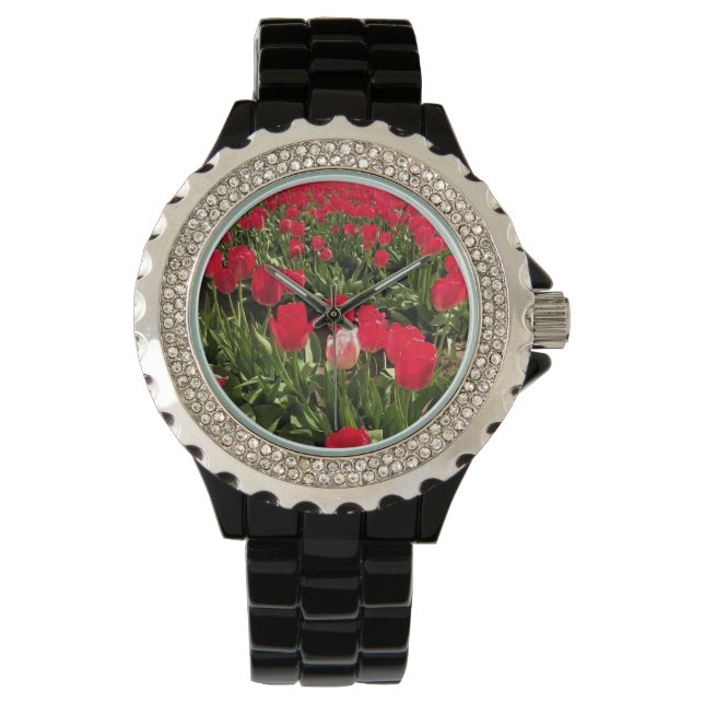Witte en roze Tulp in een rood Tulp-veld, Oregon Horloge (Voorkant)