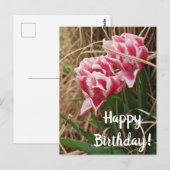 Witte en roze Tulpen Briefkaart op zaterdag (Voorkant / Achterkant)