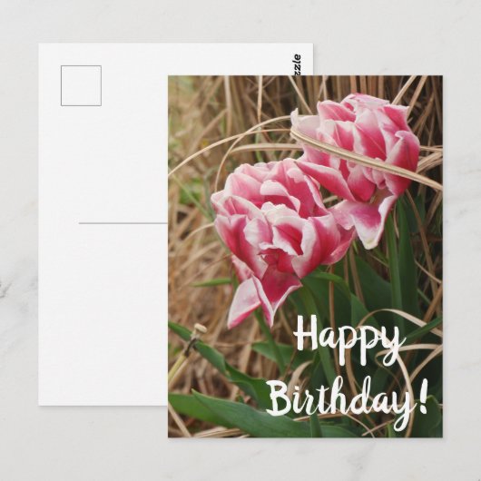 Witte en roze Tulpen Briefkaart op zaterdag (Voorkant / Achterkant)
