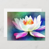 Witte en roze waterlelie briefkaart (Voorkant / Achterkant)