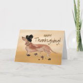 Witte en Tan Dachshund Pilgrim Pet Thanksgiving Kaart (Voorkant)