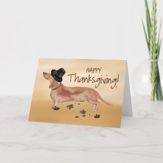 Witte en Tan Dachshund Pilgrim Pet Thanksgiving Kaart (Voorkant)