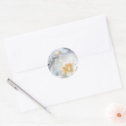 Witte en witte rozen Sticker (Envelop)