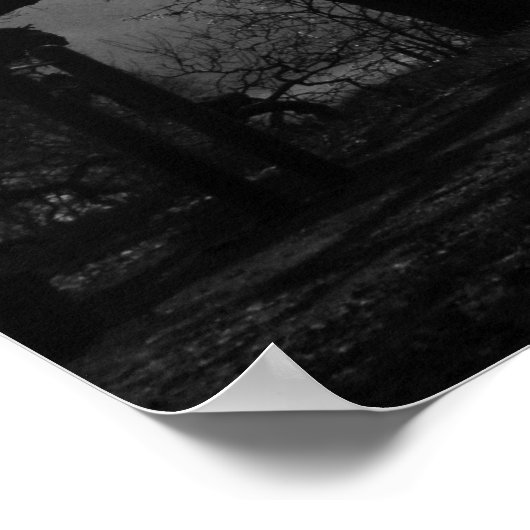 Witte en zwarte bomen poster (Hoek)